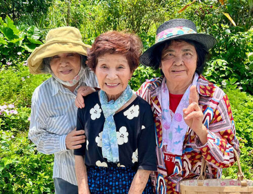 Reflections of Japan 2