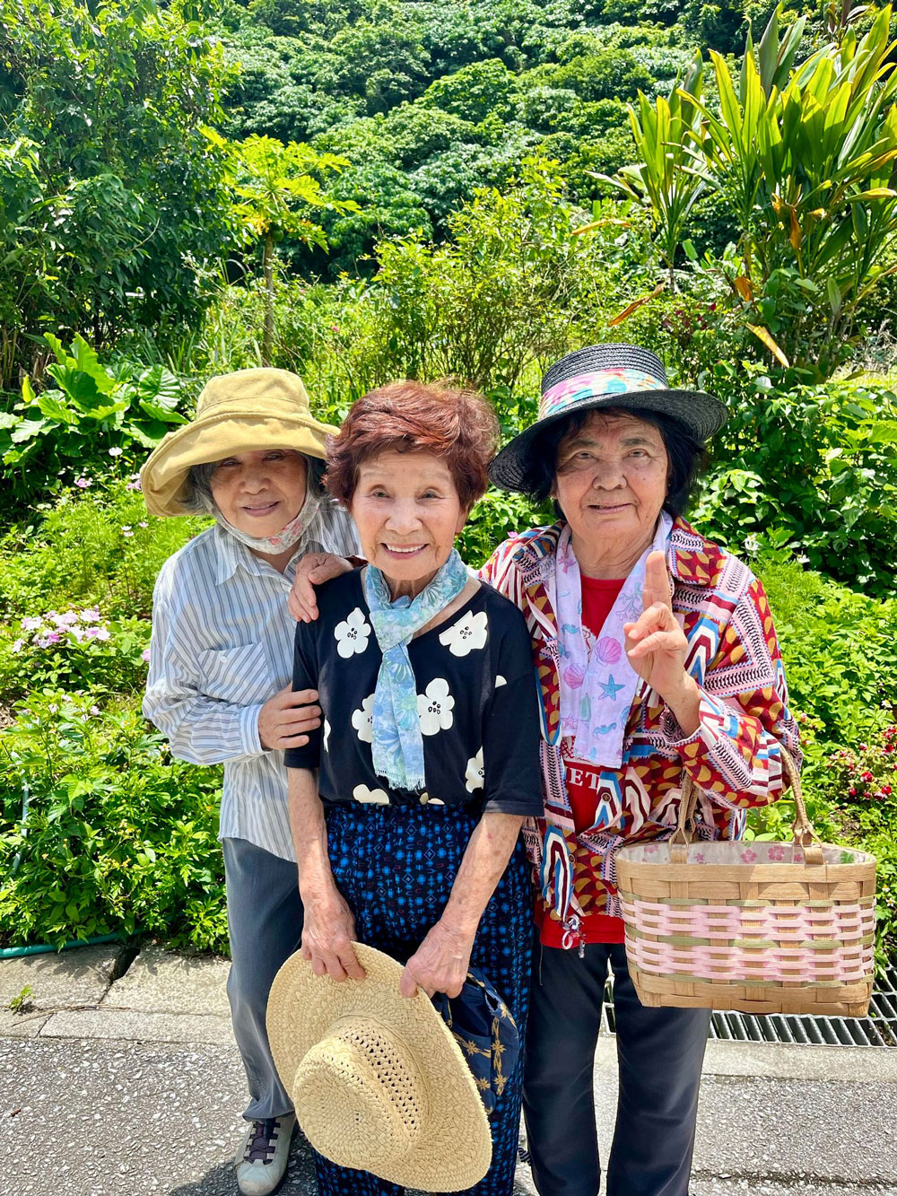 Reflections on my stay in the Blue Zone – Joan Harris Reflections on my stay in the Blue Zone - Joan Harris