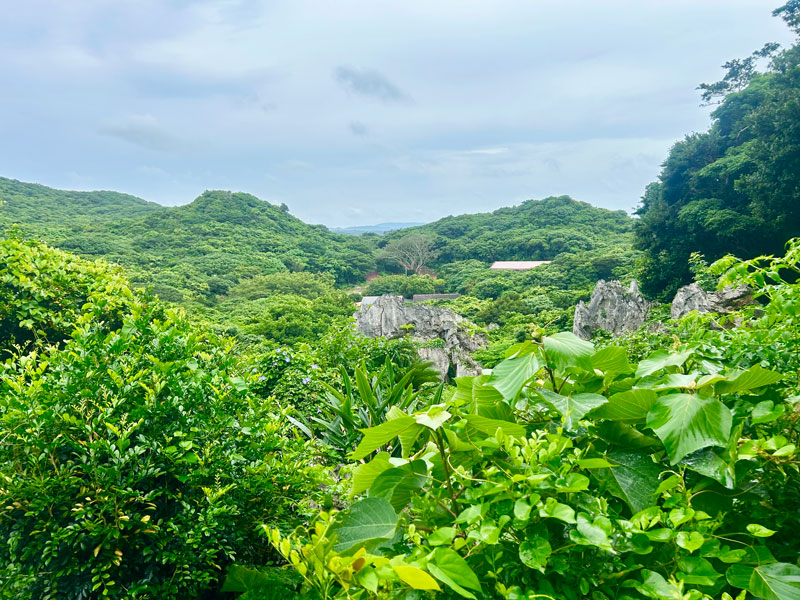 Landscape Okinawa Japan Landscape Okinawa Japan