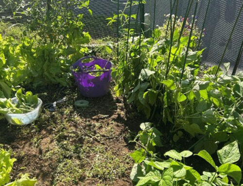 Making Calm from Chaos